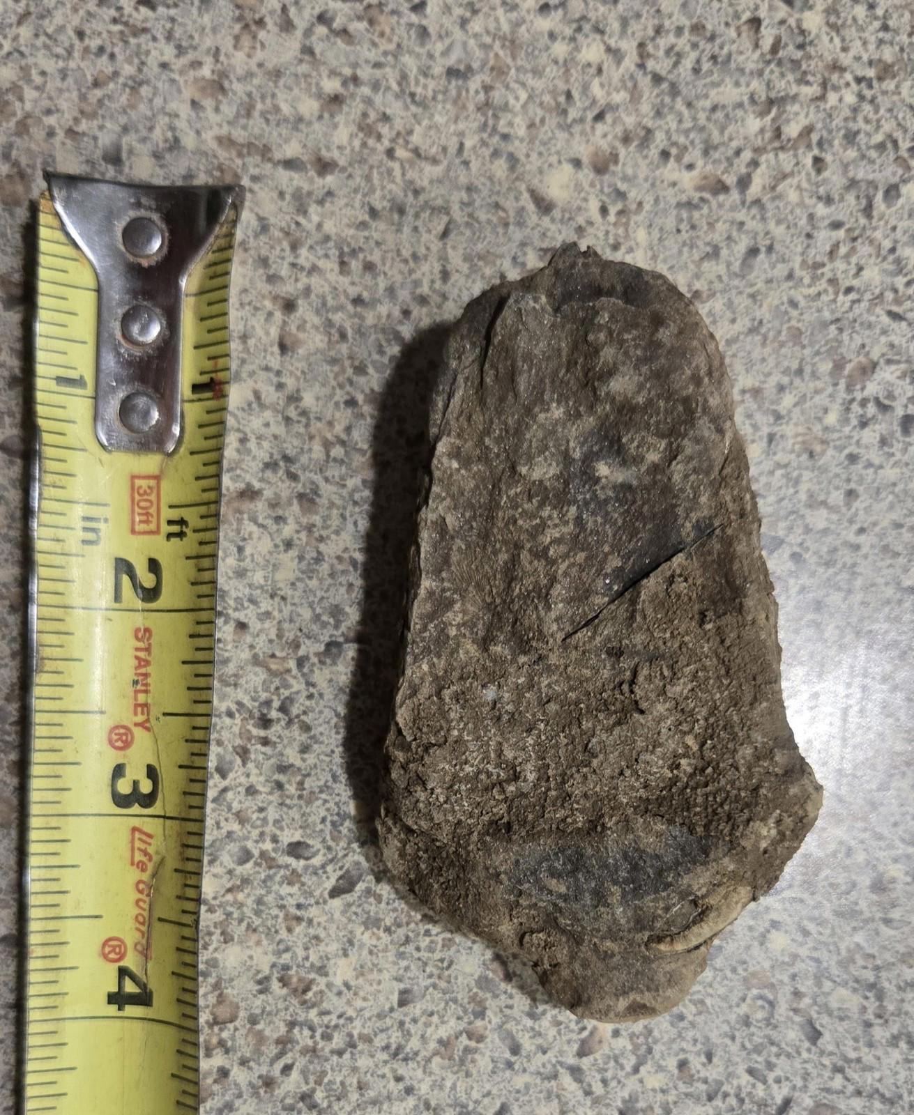 4 Inch Natural Antique Trilobyte Fossil Anthropod Genuine Texas