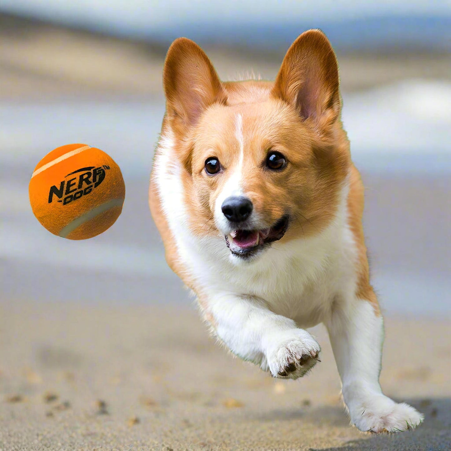 2.5 Inch Round Squeak Squeaking Tennis Ball Dog Toy, 3-Pack Bouncing Multi Colored Fun Exercise Balls