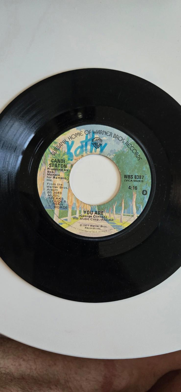 7" Vinyl LP 45 Rpm Sanford/Townsend BandSmoke From A Distant Fire, Lou, You Are