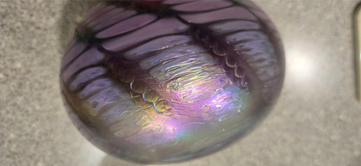 Hand Blown Studio Glass Irredecent Art BirdHouse Blenko Trout Held No Sig