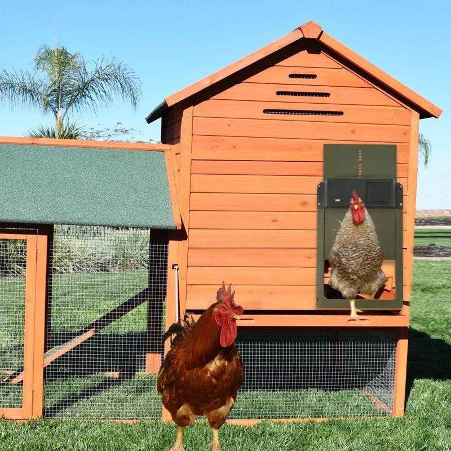 Auto Chicken Coop Door Opener Battery Powered Light Sense Control Waterproof Pet