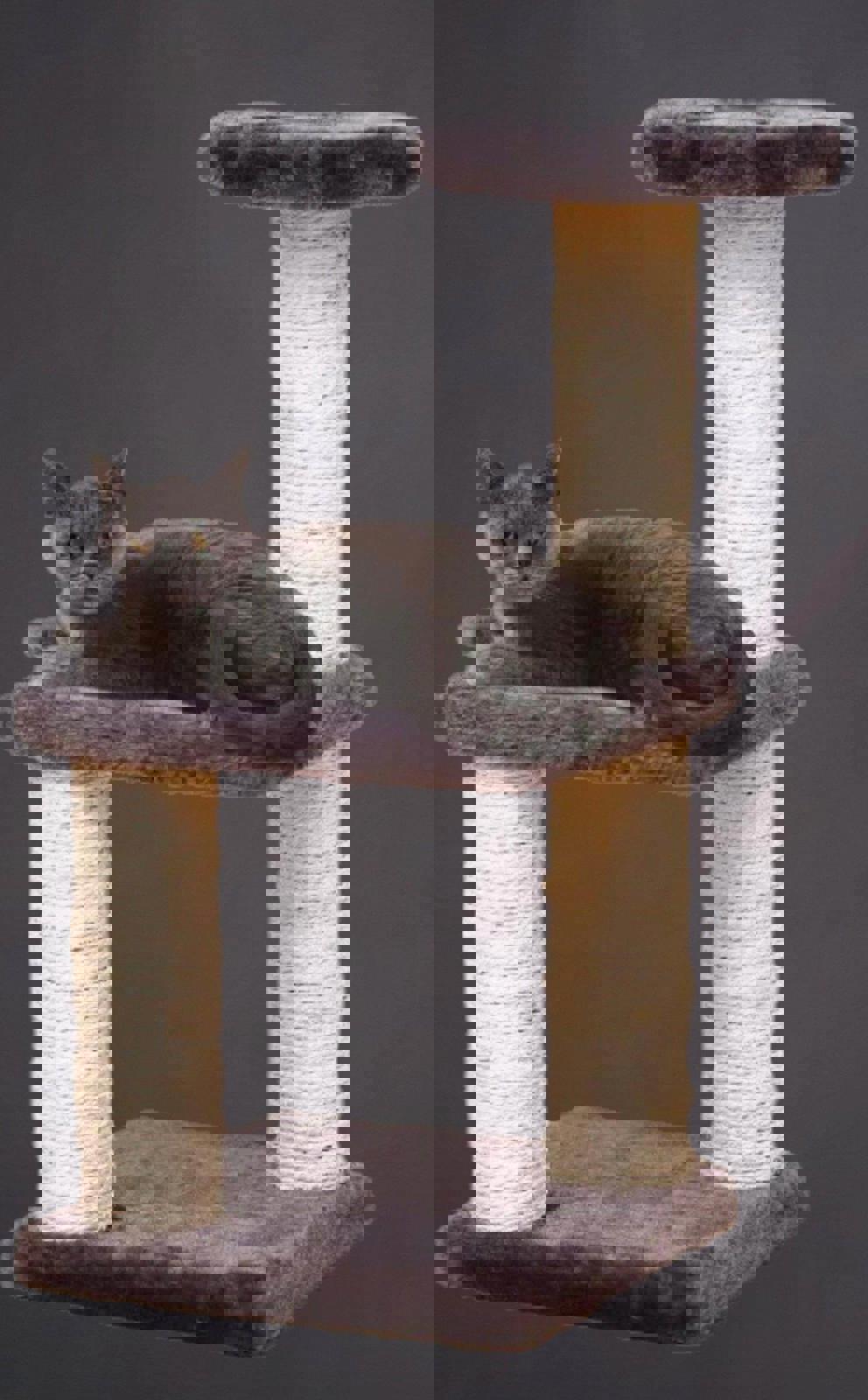 Active Cat Tower with Jumping Platform for Indoor Fun