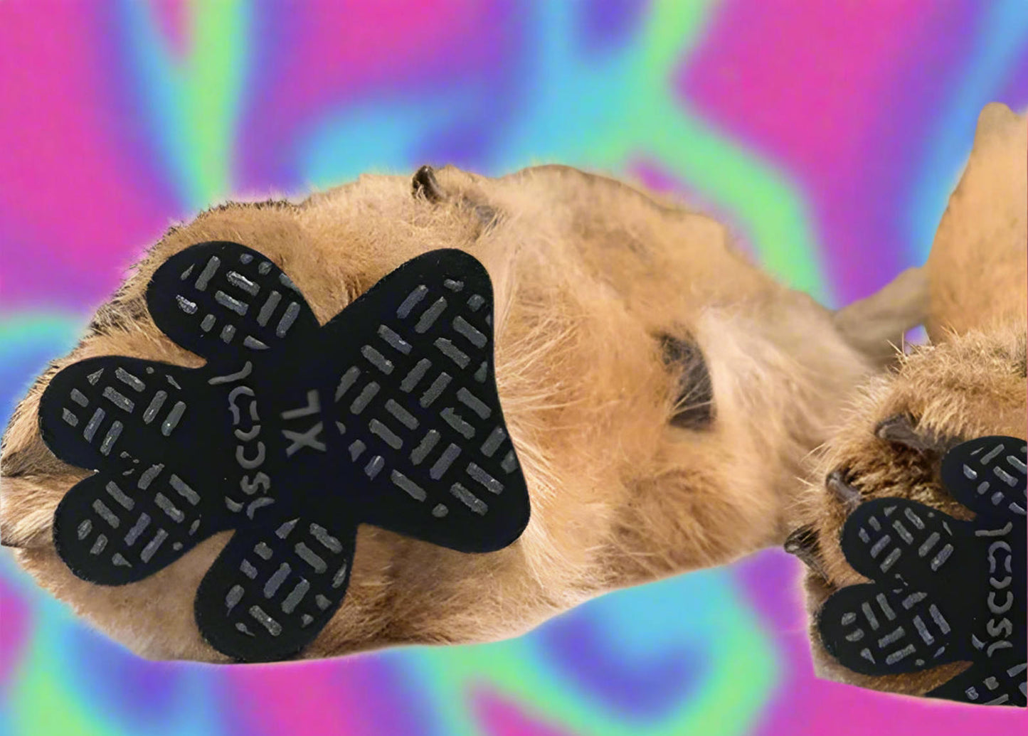 4 Piece Anti Slip Heat Protective Adhesive Paw Pad