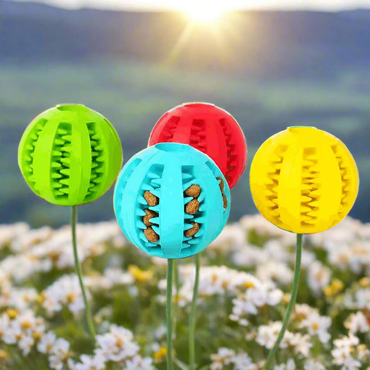 2pc Treat Feeder Tooth Cleaning Bite Resistant Rubber Chew Ball Toy