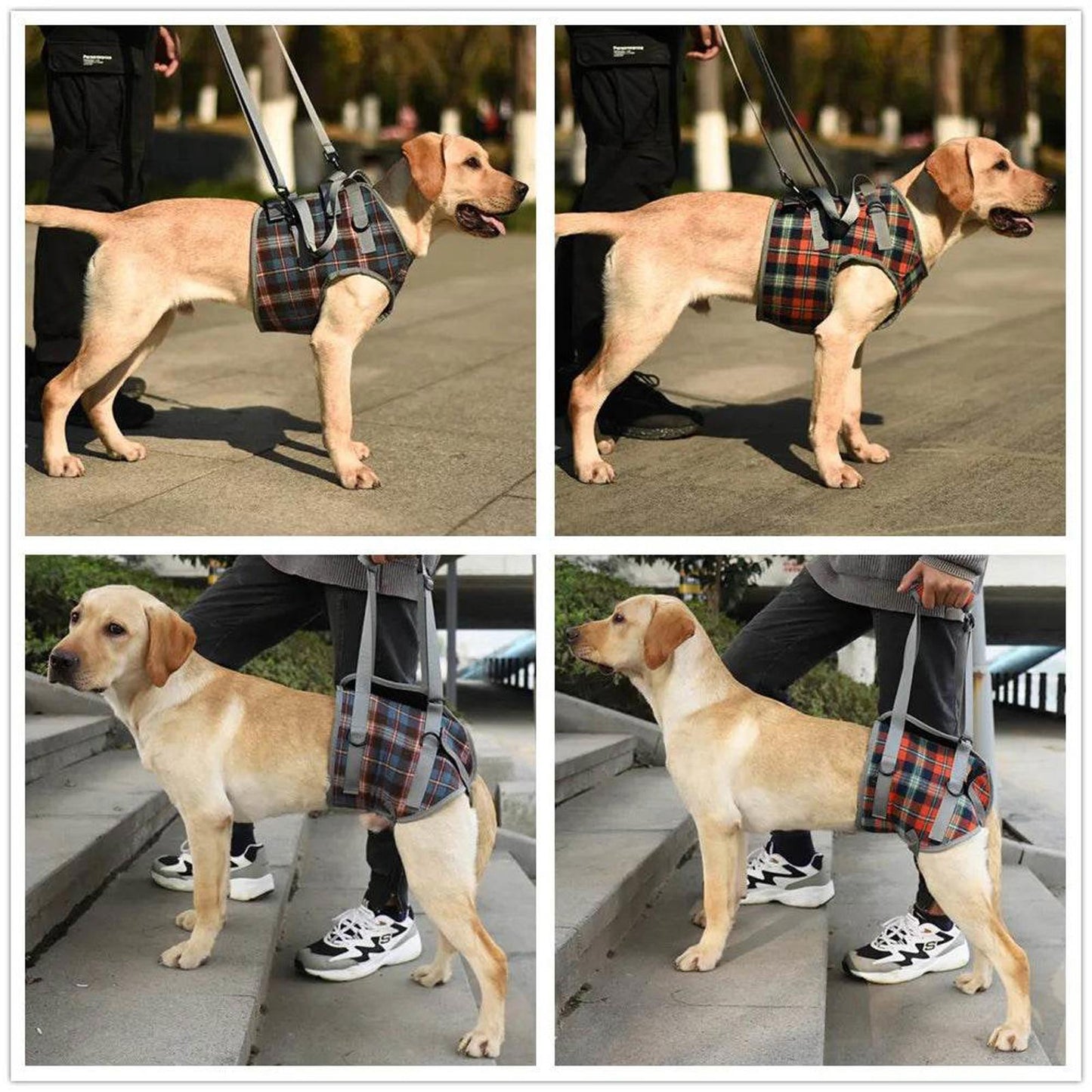 Adjustable Dog Support Harness for Front and Rear Legs Lifting Rehabilitation