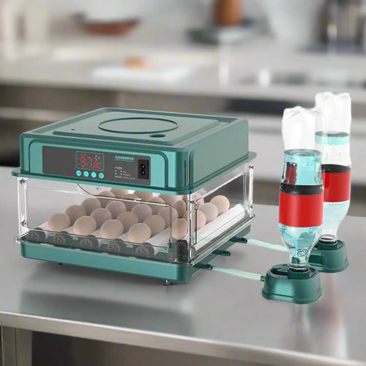 Automatic Rotating Bird Egg Incubator TempControl Humidity Control Size Chicken