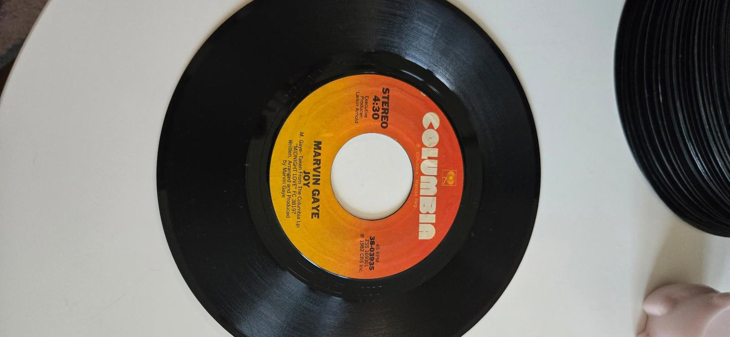 7-inch 45 RPM Vinyl Record Marvin Gaye's song "Joy" "Turn On Some Music"