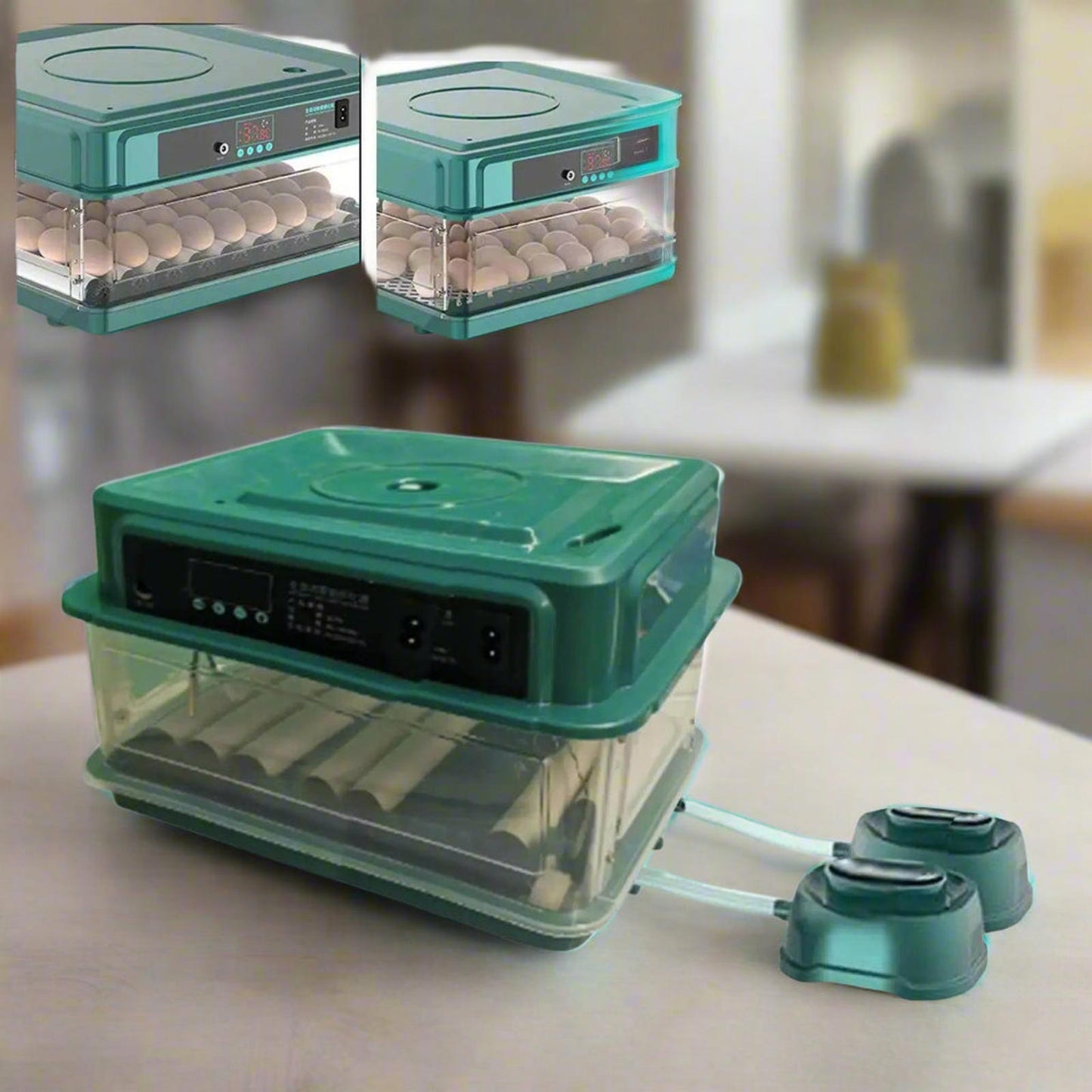 Automatic Rotating Bird Egg Incubator TempControl Humidity Control Size Chicken