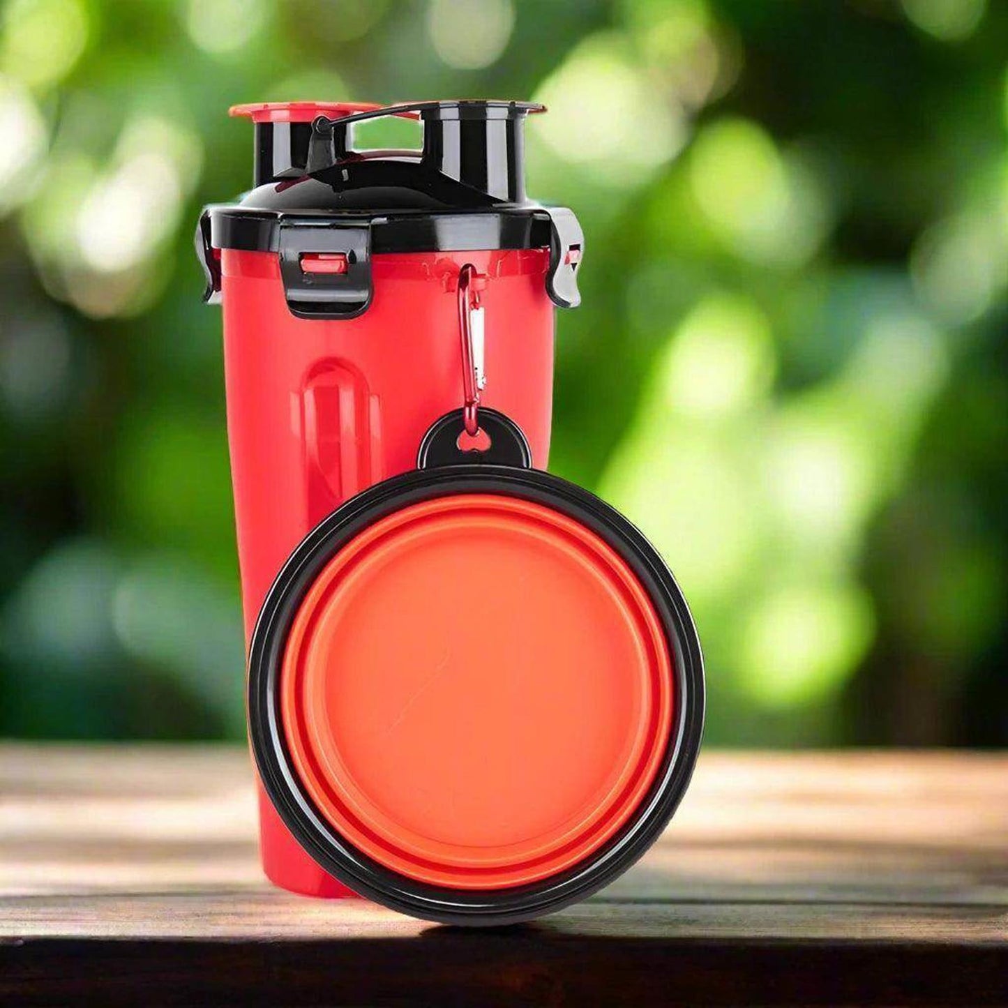 2 In 1 Water and Food Dispenser With Collapsible Bowl Set