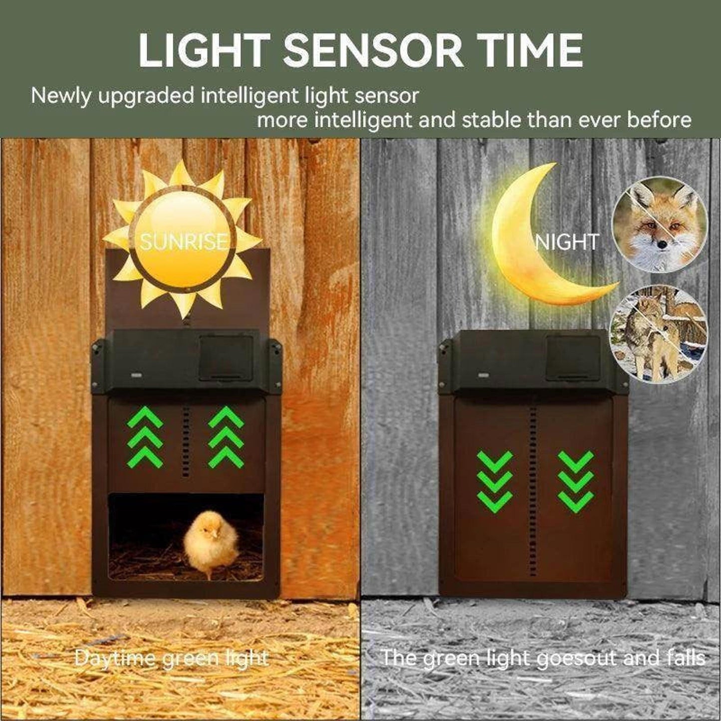 Auto Chicken Coop Door Opener Battery Powered Light Sense Control Waterproof Pet