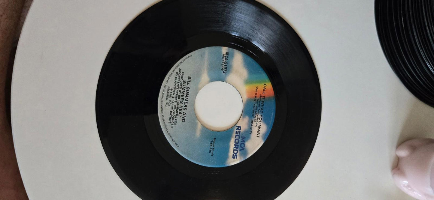 7-inch 45 RPM Vinyl "Your Style Ain't The Way" Call It What You WantBill Summers