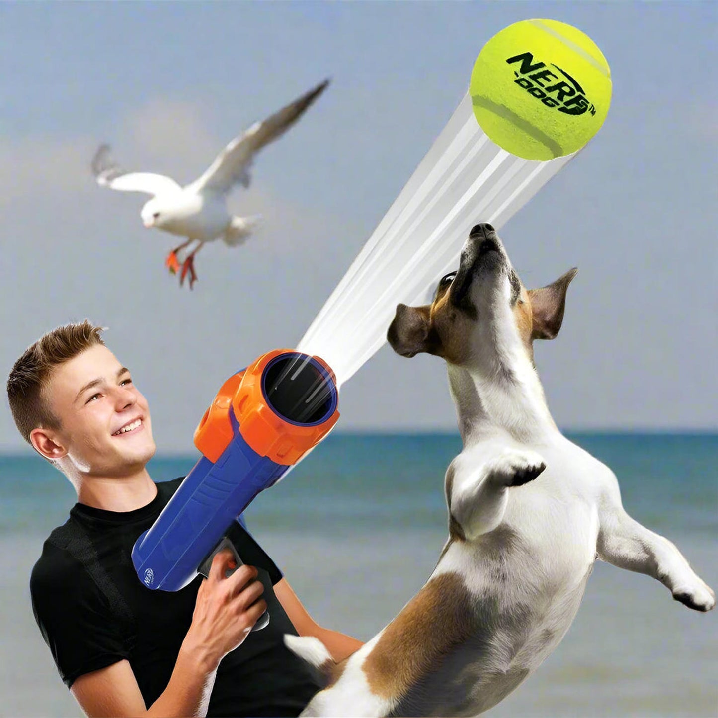 16” Tennis Ball Blaster Dog Toy with 4 Balls