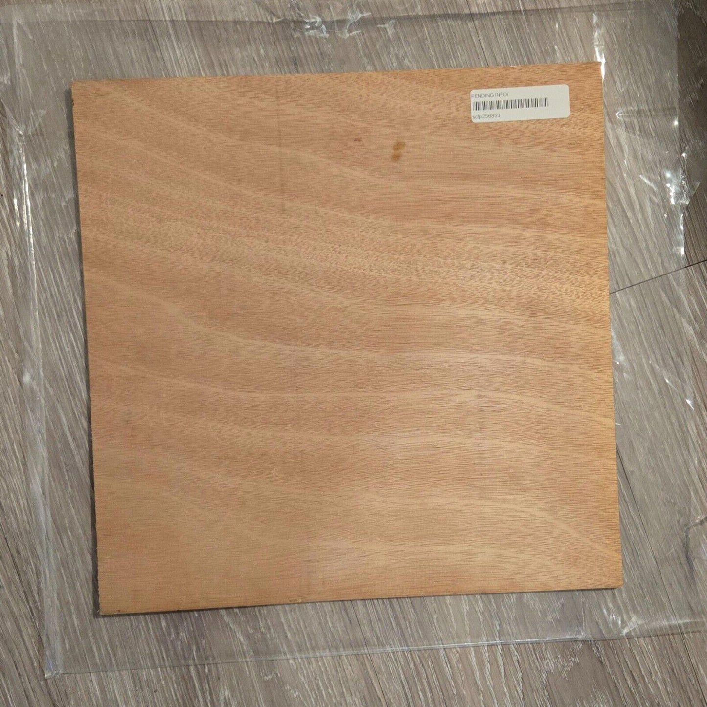 Original Painting Oil on Wood Panel by Ester Myatlov Hand Signed with LoA Coa