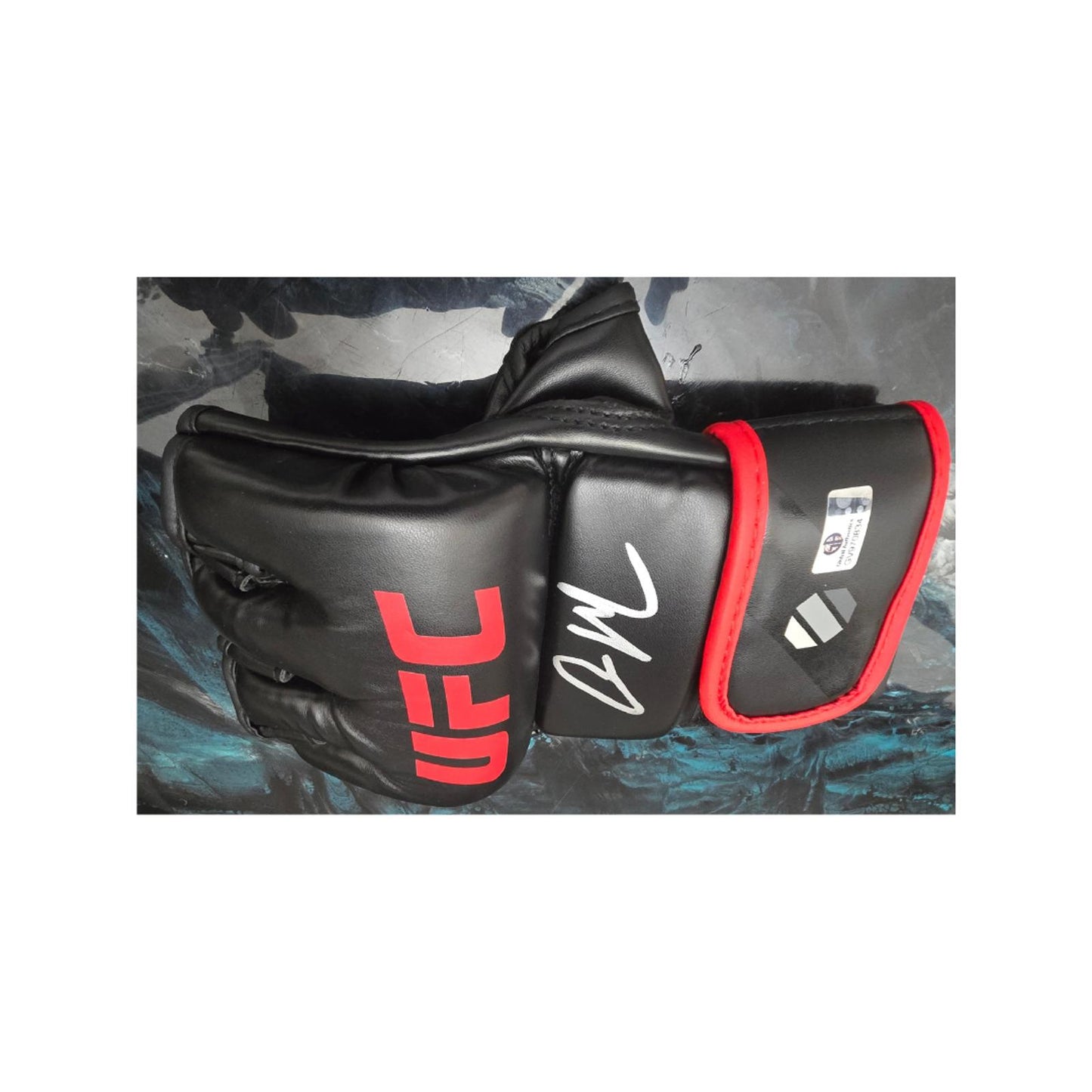 Conor McGregor UFC Autographed 6oz MMA Glove With COA